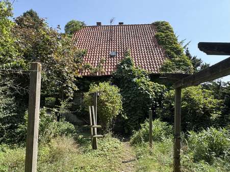 Eingang - Einfamilienhaus in 32758 Detmold mit 100m² kaufen
