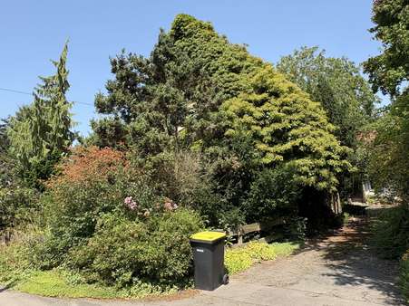 Straßenansicht - Einfamilienhaus in 32758 Detmold mit 100m² kaufen
