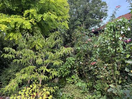 Gartenstück - Haus in 33039 Nieheim / Eversen mit 135m² kaufen