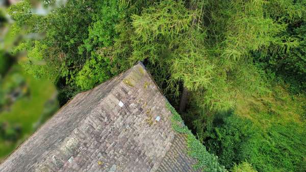 Giebel - Resthof in 37697 Lauenförde / Meinbrexen mit 295m² kaufen