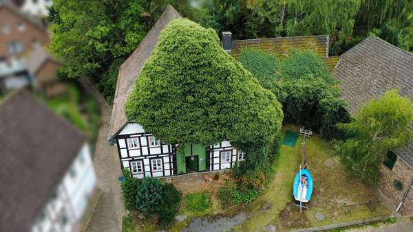 Hausansicht - Resthof in 37697 Lauenförde / Meinbrexen mit 295m² kaufen