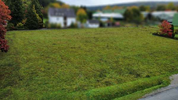 Grundstück in 32676 Lügde / Elbrinxen mit 1459m² kaufen