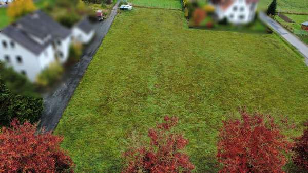 Grundstück in 32676 Lügde / Elbrinxen mit 1811m² kaufen