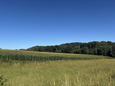 Aussicht über die Felder Aussicht über die Felder - Dachgeschosswohnung in 32791 Lage mit 55m² kaufen