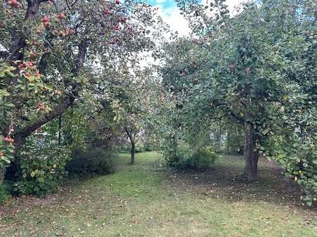 Doppelhaushälfte in 33611 Bielefeld mit 126m² kaufen