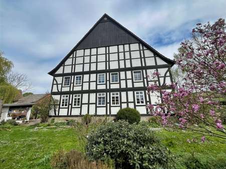 Ansicht aus Garten Ansicht aus Garten - Landhaus in 32657 Lemgo mit 330m² kaufen