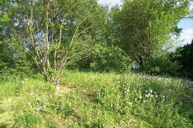 Grundstück in 32694 Dörentrup mit 771m² kaufen