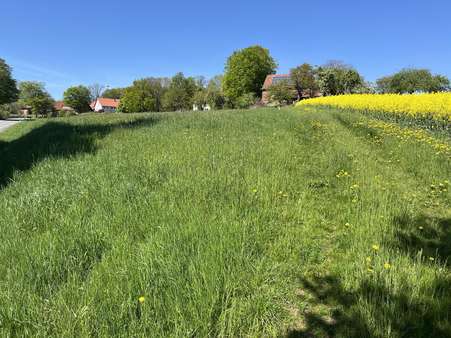 Der Spielplatz für Ihre Haustiere Der Spielplatz für Ihre Haustiere - Resthof in 32694 Dörentrup mit 160m² kaufen