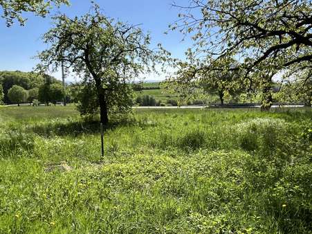 Wunderbare Aussicht über Wiesen und Felder Wunderbare Aussicht über Wiesen und Felder - Resthof in 32694 Dörentrup mit 160m² kaufen
