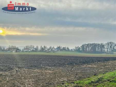 Ackerfläche Ackerfläche - Grundstück in 32479 Hille mit 10587m² kaufen