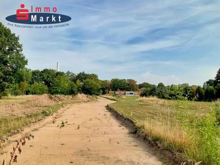 Blickrichtung Norden - Grundstück in 32469 Petershagen mit 652m² kaufen