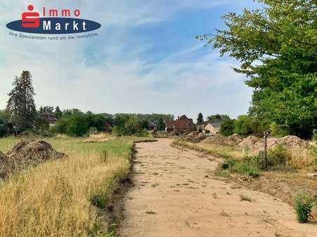 Blickrichtung Süden - Grundstück in 32469 Petershagen mit 652m² kaufen