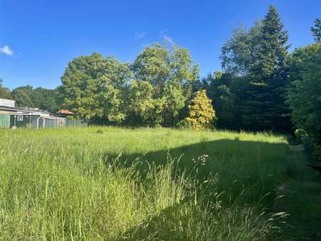 Seitenansicht - Grundstück in 32278 Kirchlengern mit 1132m² kaufen