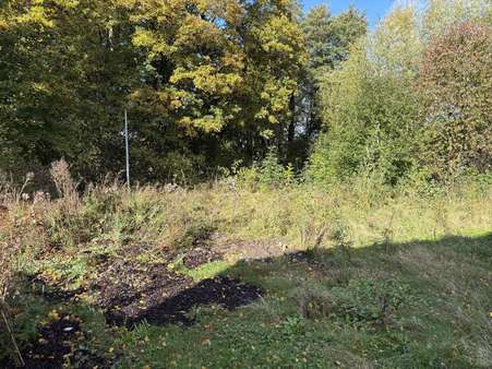 Grundstück in 32049 Herford mit 570m² kaufen