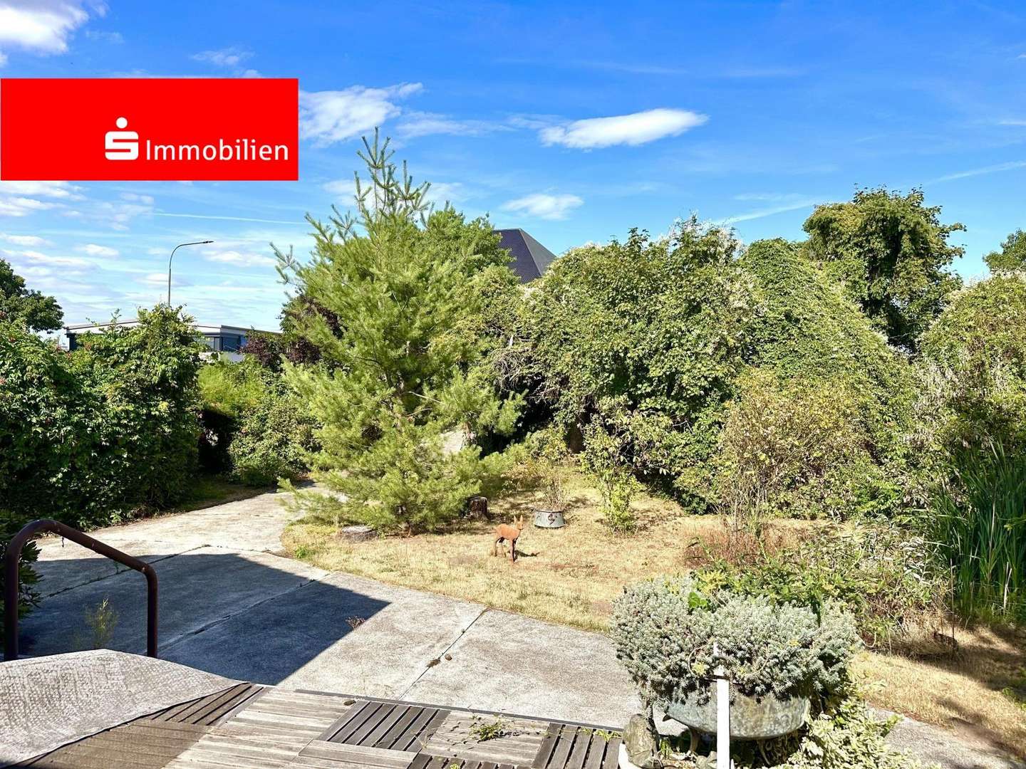 IMG_7050 - Grundstück in 63165 Mühlheim mit 1230m² kaufen