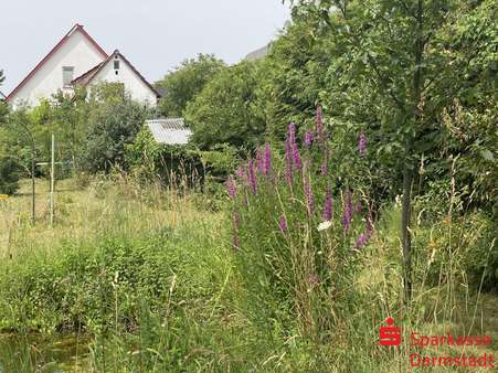 Garten Garten - Einfamilienhaus in 64319 Pfungstadt mit 102m² kaufen