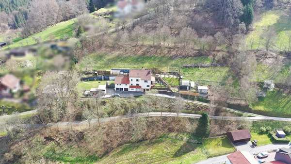 Mitten im Grünen - Zweifamilienhaus in 64711 Erbach mit 357m² kaufen
