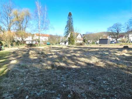 null - Grundstück in 64720 Michelstadt mit 1450m² kaufen