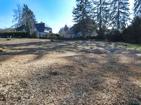 null - Grundstück in 64720 Michelstadt mit 1450m² kaufen