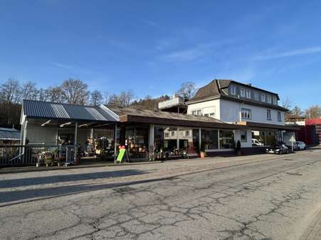 Hier werden Sie gesehen! - Mehrfamilienhaus in 64711 Erbach mit 257m² kaufen