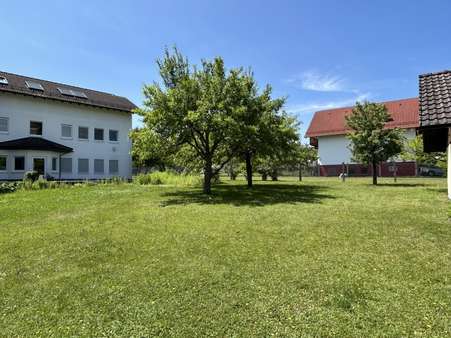 Riesiger, ebener Garten - Einfamilienhaus in 64760 Oberzent mit 123m² kaufen