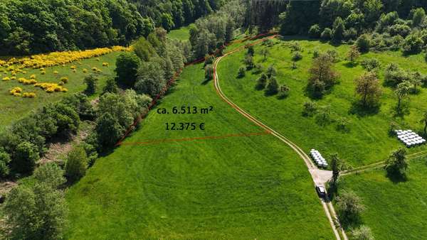Beerfurth - Hutzwiese - Grundstück in 64385 Reichelsheim mit 14871m² kaufen