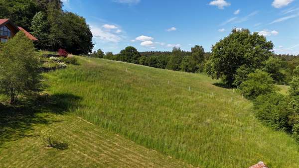 Direkt am Feldrand - Zweifamilienhaus in 64711 Erbach mit 227m² kaufen