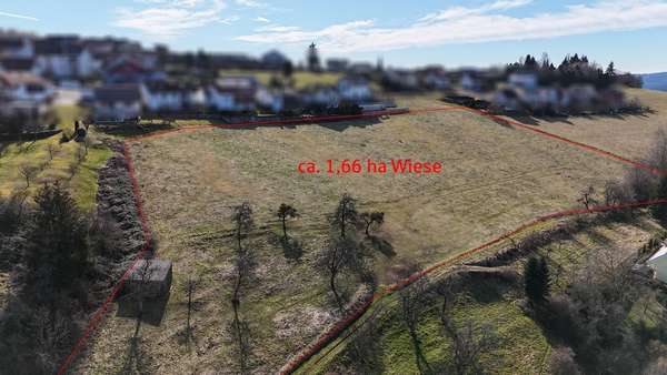 1,66 ha Wiese direkt am Hof - Bauernhaus in 64760 Oberzent mit 182m² kaufen