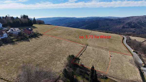 Optionale 2. Wiese mit 3,75 ha - Bauernhaus in 64760 Oberzent mit 182m² kaufen