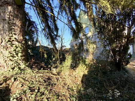 Vorgarten - Einfamilienhaus in 64546 Mörfelden-Walldorf mit 106m² kaufen