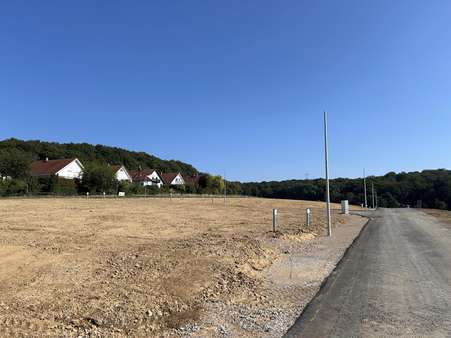 September 2024 - Grundstück in 65719 Hofheim mit 364m² kaufen