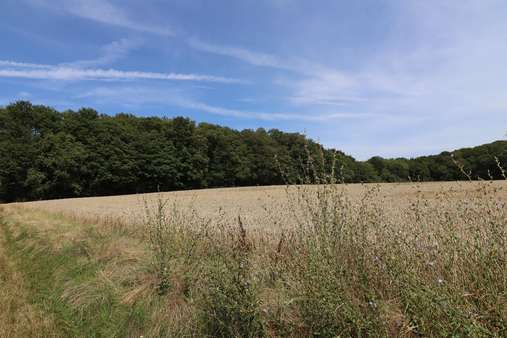 Wildsachsen - Grundstück in 65719 Hofheim mit 400m² kaufen