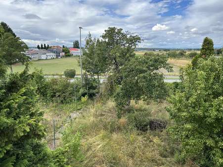 Aussicht/Fernblick Aussicht/Fernblick - Zweifamilienhaus in 65468 Trebur mit 171m² kaufen