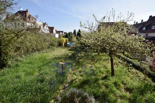 Garten - Einfamilienhaus in 64354 Reinheim mit 163m² kaufen