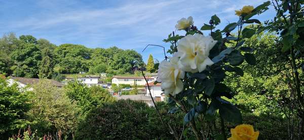 Aussicht von der Terrasse Aussicht von der Terrasse - Souterrain-Wohnung in 35606 Solms mit 87m² kaufen