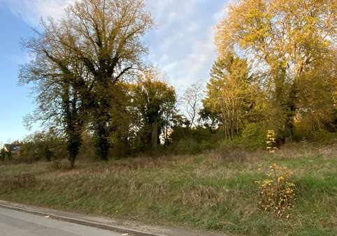 Rückseite - Grundstück in 35619 Braunfels mit 601m² kaufen