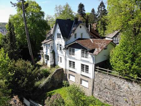 Außenansicht Villa - Villa in 35683 Dillenburg mit 540m² kaufen
