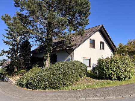 Straßenansicht - Zweifamilienhaus in 35759 Driedorf mit 365m² kaufen