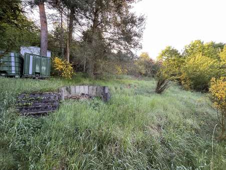 Garten - Einfamilienhaus in 35768 Siegbach mit 145m² kaufen