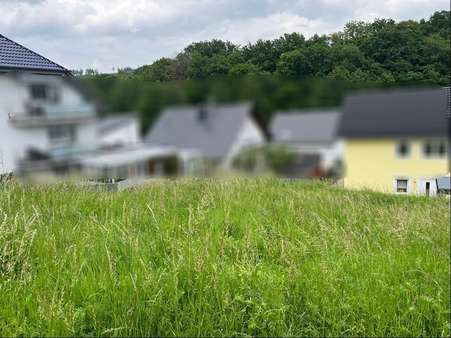 Grundstück in 35713 Eschenburg mit 529m² kaufen