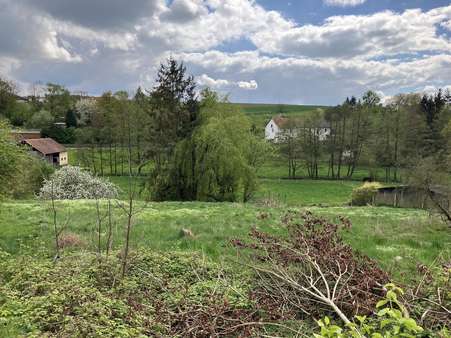 Blick auf das Grundstück - Grundstück in 34388 Trendelburg mit 1622m² kaufen