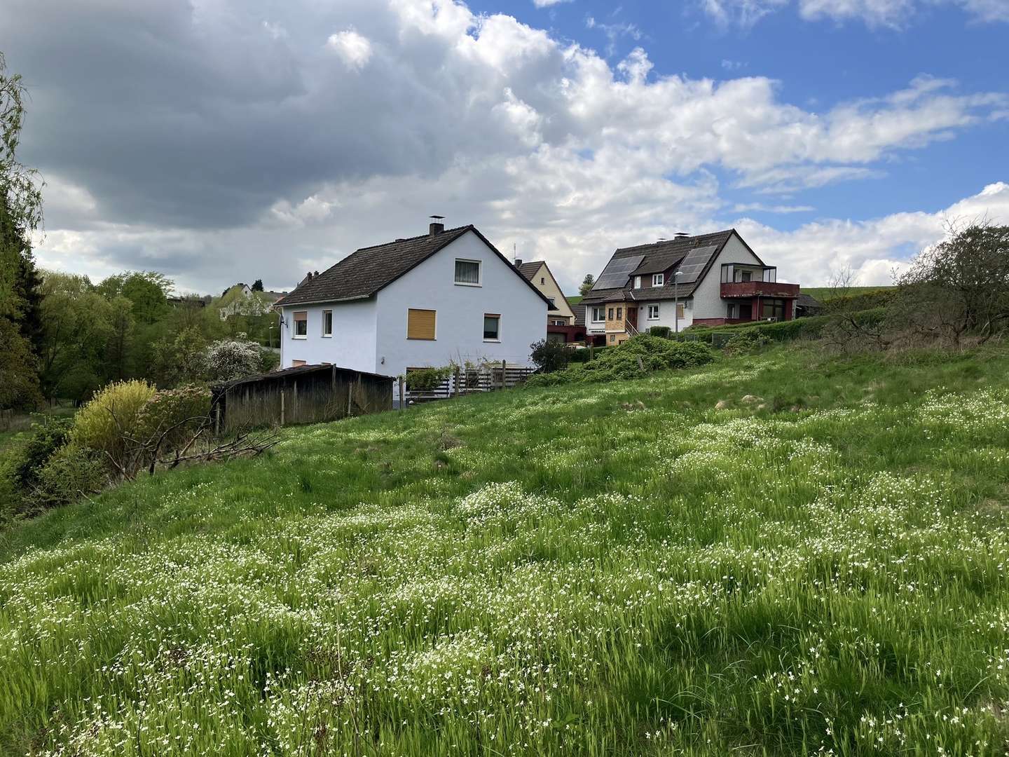 Blick auf das Grundstück - Grundstück in 34388 Trendelburg mit 1622m² kaufen