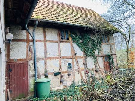 Rückansicht  - Einfamilienhaus in 34369 Hofgeismar mit 229m² kaufen