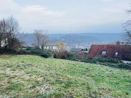 Blick auf das Grundstück Blick auf das Grundstück - Grundstück in 34385 Bad Karlshafen mit 1017m² kaufen