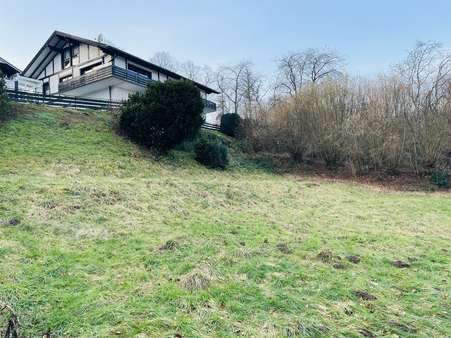 Blick auf das Grundstück Blick auf das Grundstück - Grundstück in 34385 Bad Karlshafen mit 1017m² kaufen