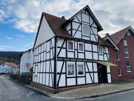 Seitenansicht - Einfamilienhaus in 34388 Trendelburg mit 202m² kaufen