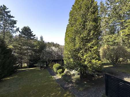 Blick in den Garten Blick in den Garten - Einfamilienhaus in 34466 Wolfhagen mit 152m² kaufen