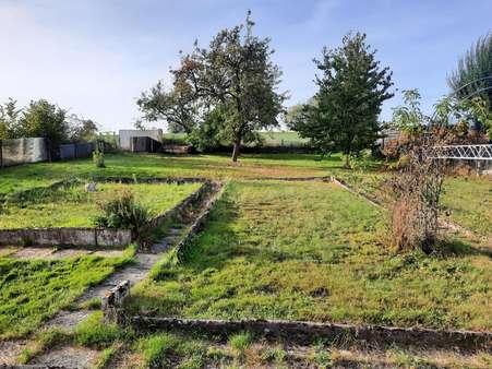 Garten - Einfamilienhaus in 36205 Sontra mit 117m² kaufen
