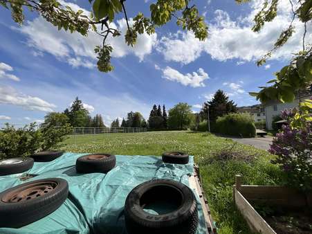 Wiese / Bauplatz - Einfamilienhaus in 37299 Weißenborn mit 165m² kaufen