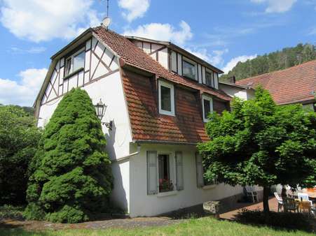 IMG_4529 - Mehrfamilienhaus in 34537 Bad Wildungen mit 160m² kaufen